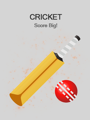 Cricket